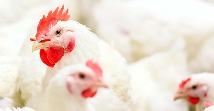 About Us Page Banner