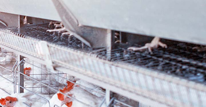 News Blog Category Page Banner