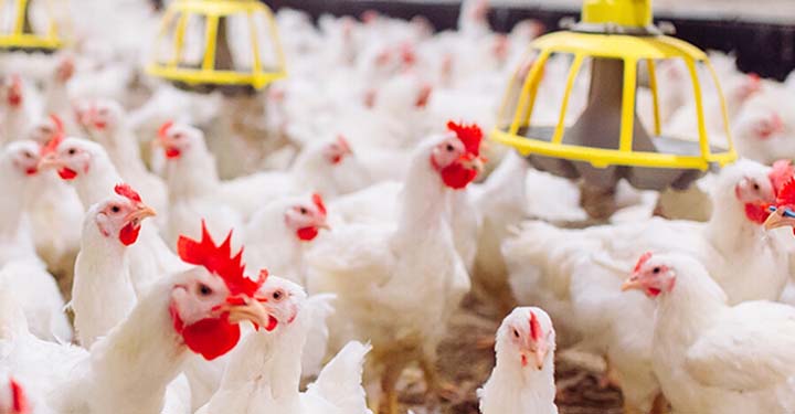 Contact Us Page Banner